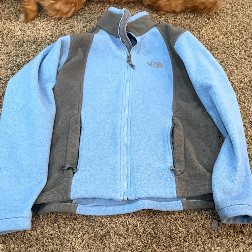 The North Face Light Blue and Dark Gray Fleece Jacket
